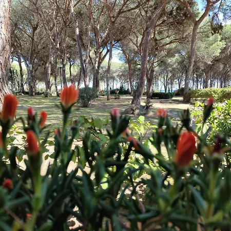 Σπίτι διακοπών Casa Di Gio Pula
