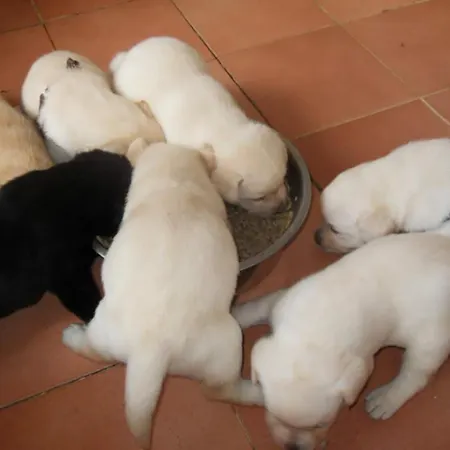 Holiday home Casa Di Gio