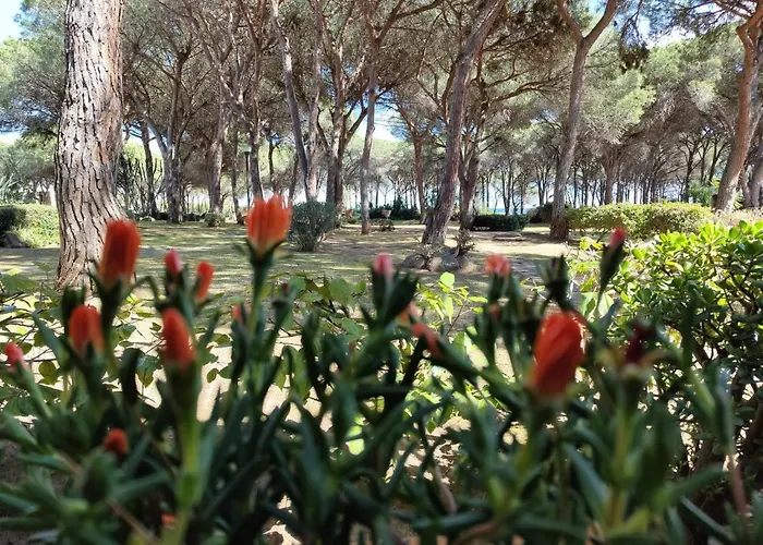 Vakantiehuis Casa Di Gio Pula